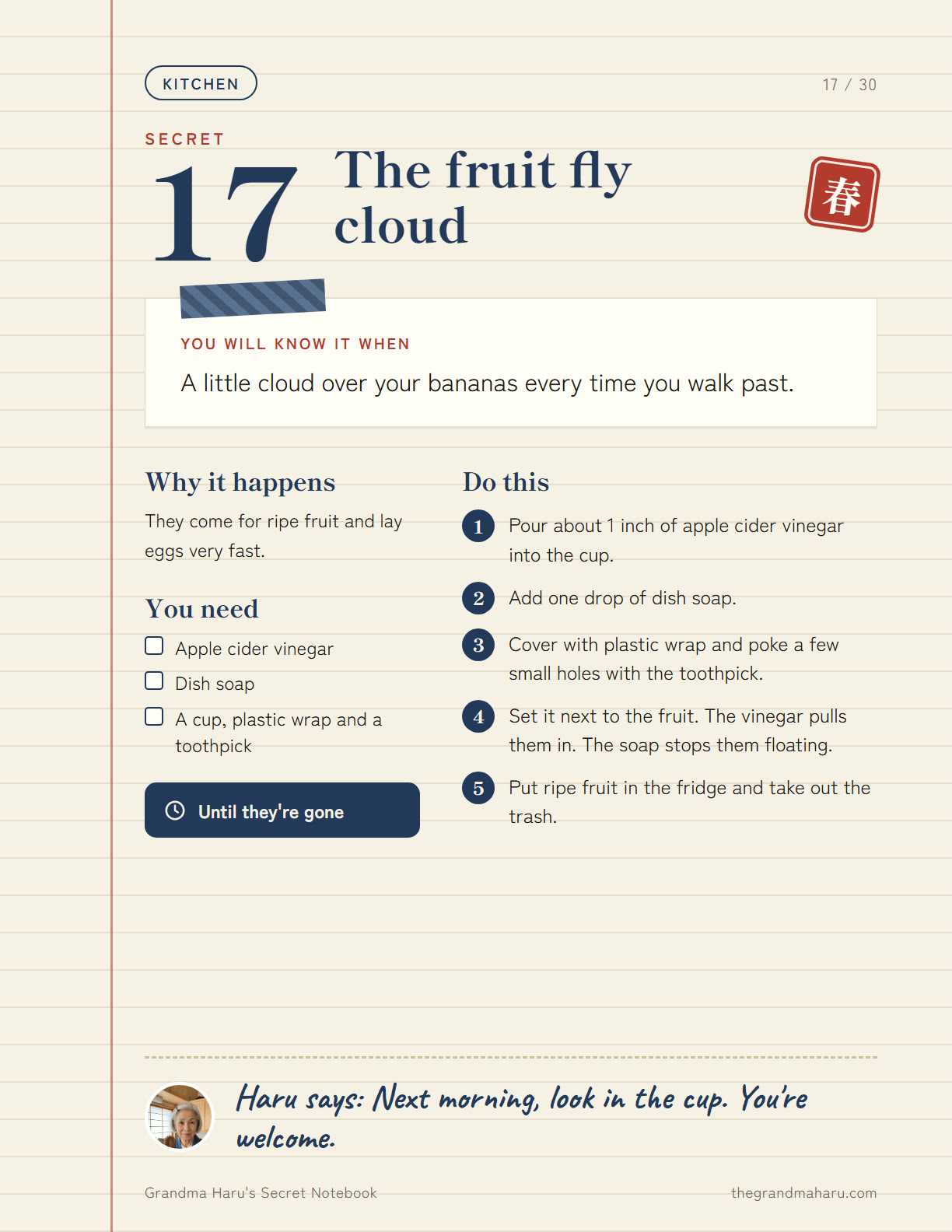 Notebook page: the fruit fly cloud