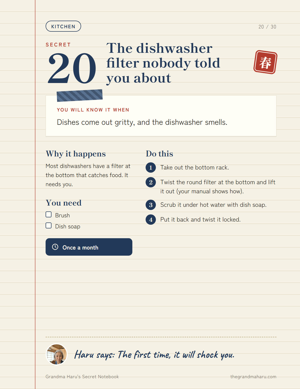 Notebook page: the dishwasher filter nobody told you about